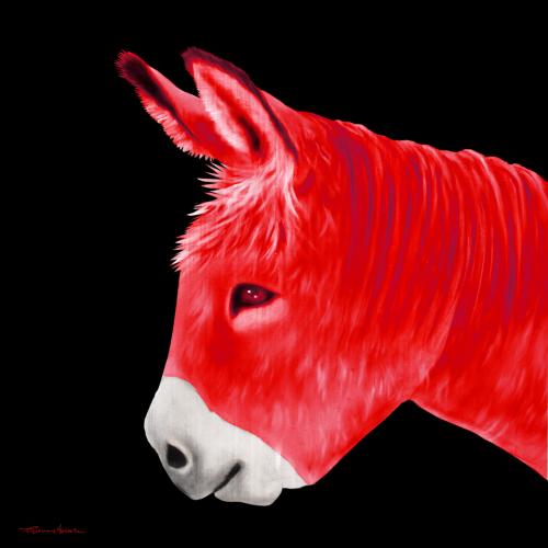PTIT ANE ROUGE donkey Showroom - Inkjet on plexi, limited editions, numbered and signed. Wildlife painting Art and decoration. Click to select an image, organise your own set, order from the painter on line